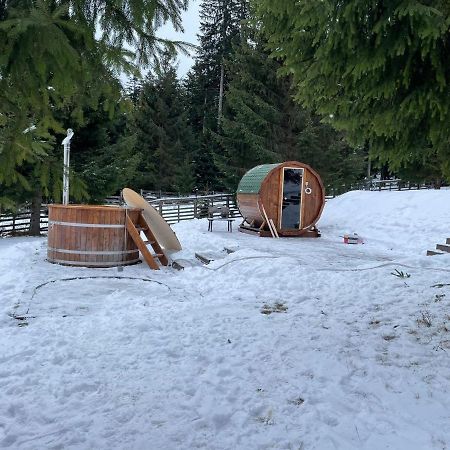 Hotel Floare De Colt Mînăstirea Humorului Bagian luar foto