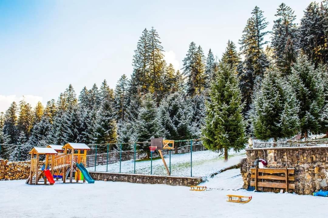 Hotel Floare De Colt Mînăstirea Humorului Bagian luar foto