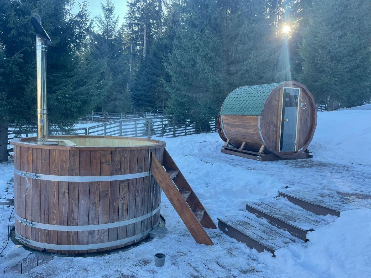 Hotel Floare De Colt Mînăstirea Humorului Bagian luar foto