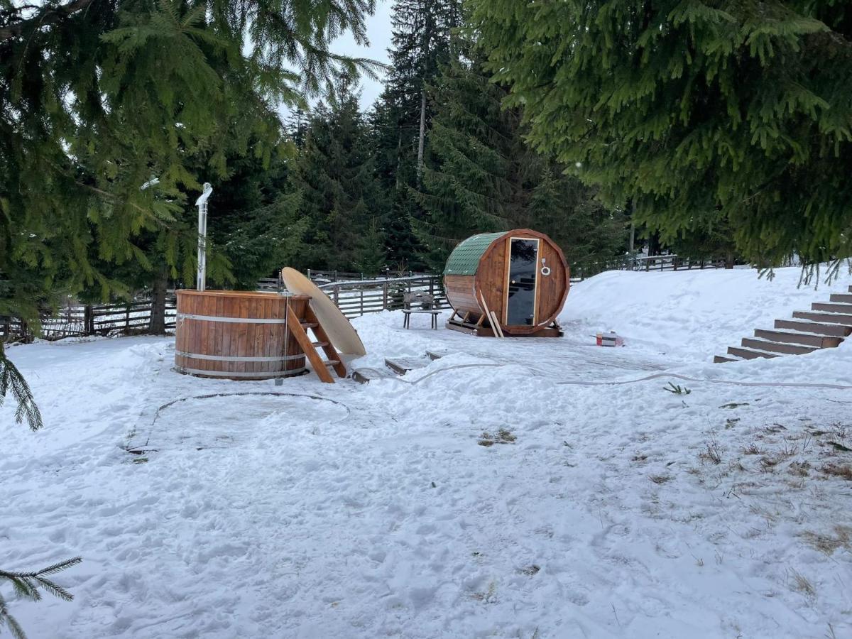 Hotel Floare De Colt Mînăstirea Humorului Bagian luar foto