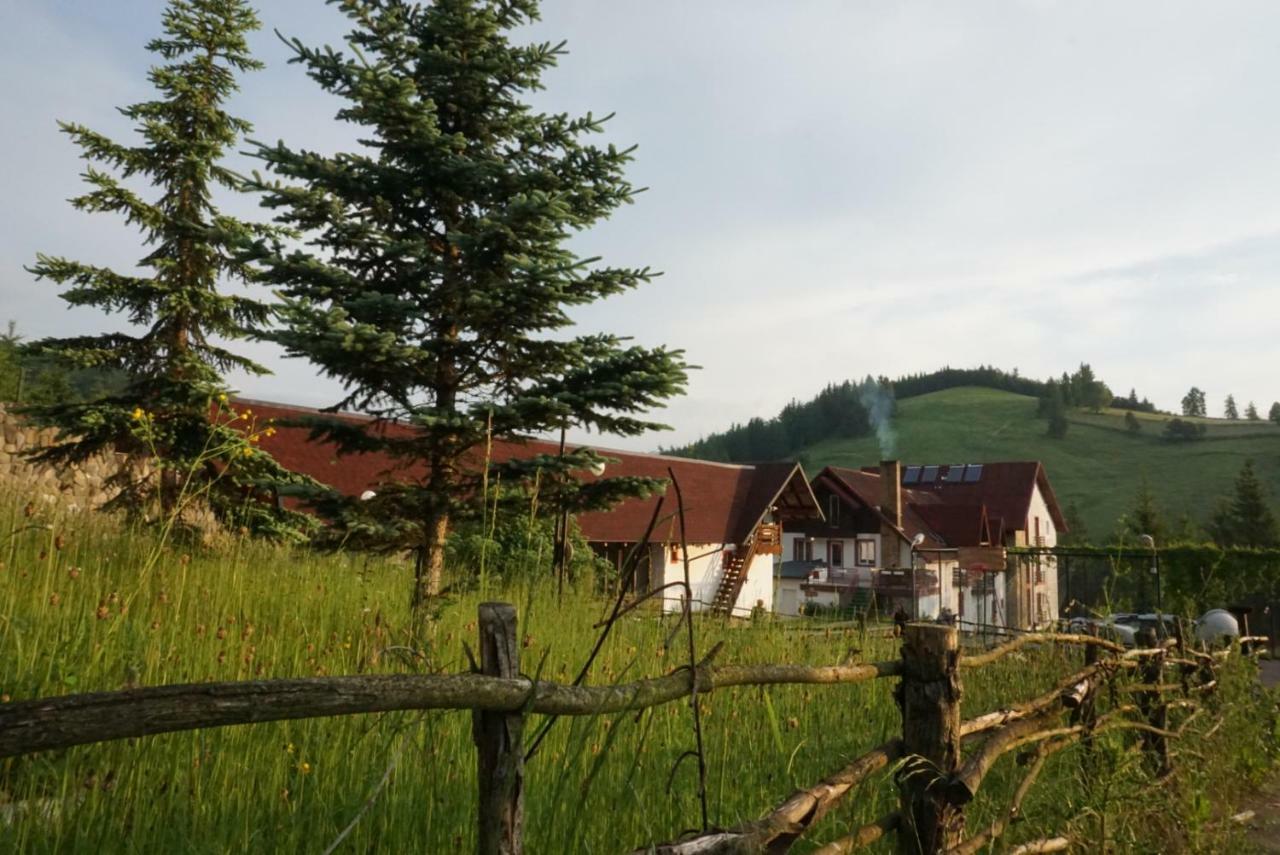 Hotel Floare De Colt Mînăstirea Humorului Bagian luar foto