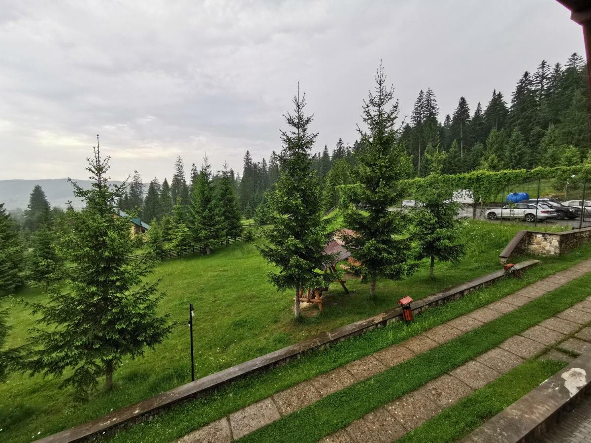 Hotel Floare De Colt Mînăstirea Humorului Bagian luar foto