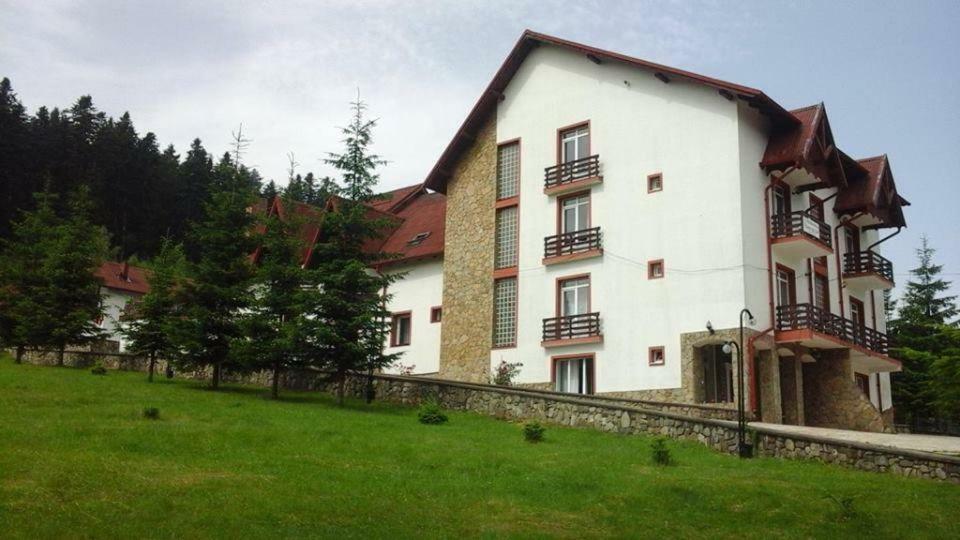 Hotel Floare De Colt Mînăstirea Humorului Bagian luar foto