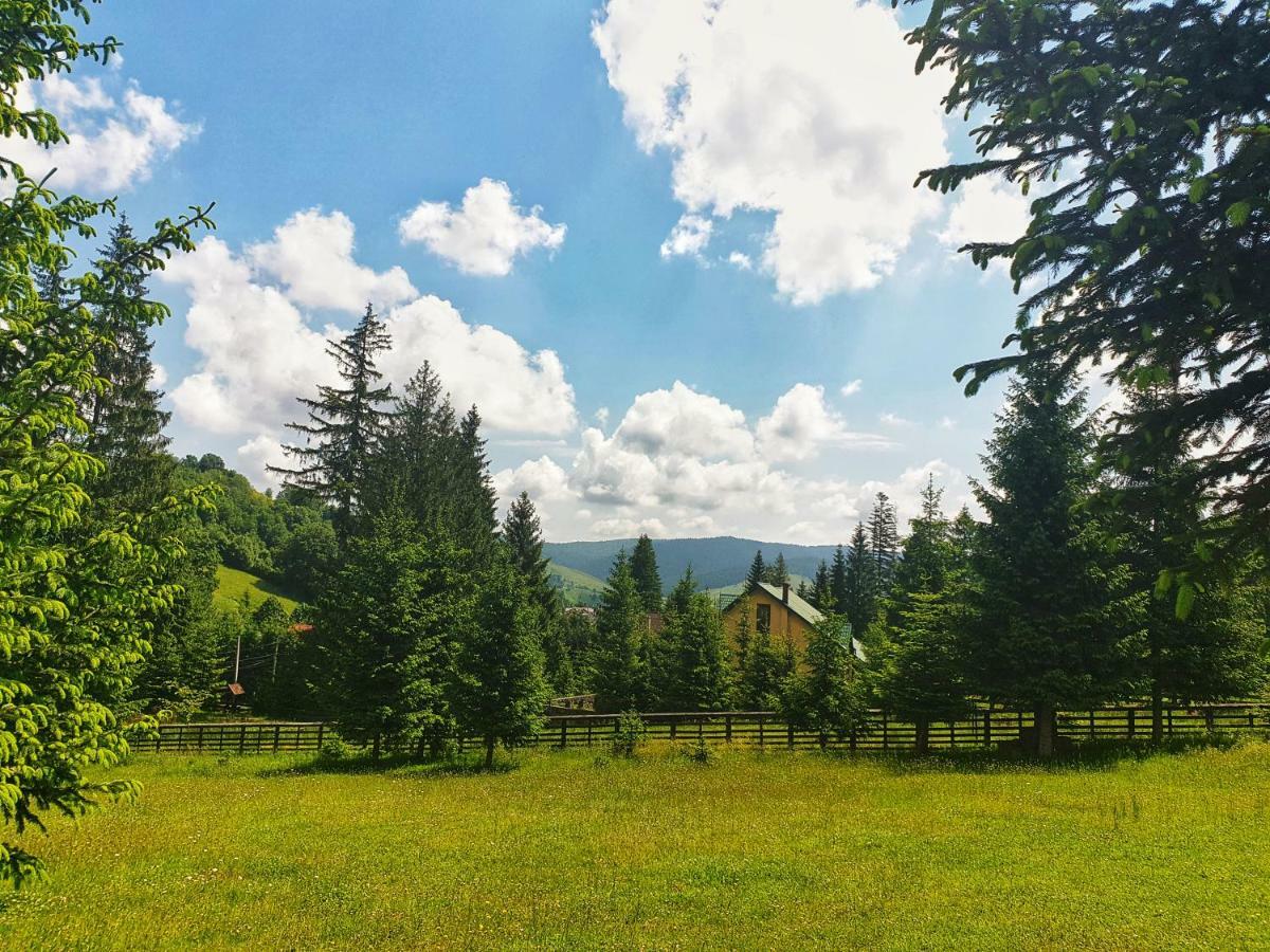 Hotel Floare De Colt Mînăstirea Humorului Bagian luar foto